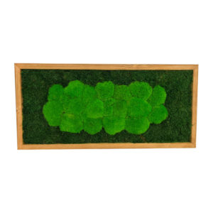 Velký mechový obraz na zeď 75x35 cm s tmavym lesnim mechem a svetlym kopeckovym pasem
