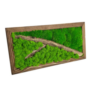 Mechovy obraz se dřevem 40x20 cm s prirodni vetvi v tmavem drevenem ramu