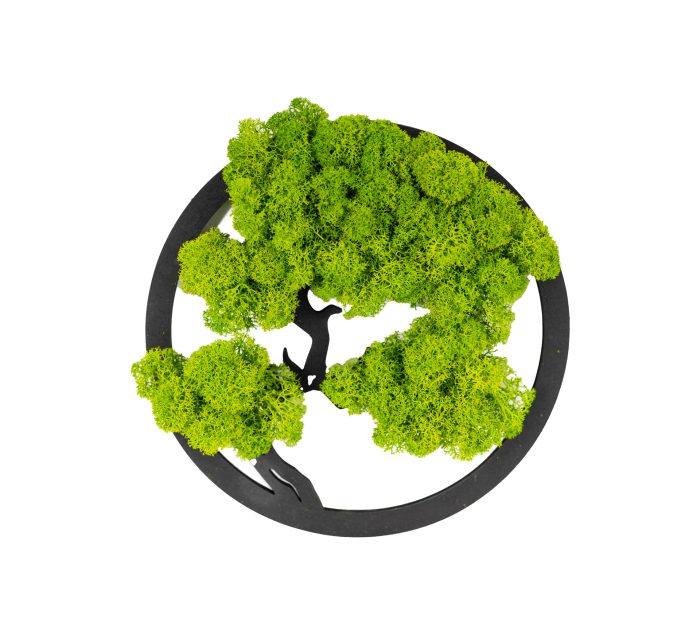 Mechový obraz Bonsai