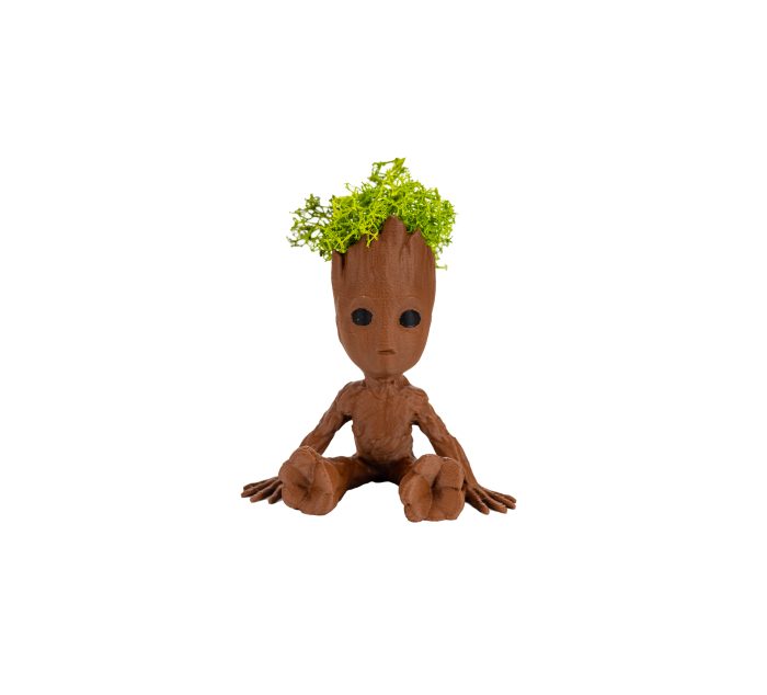 Groot