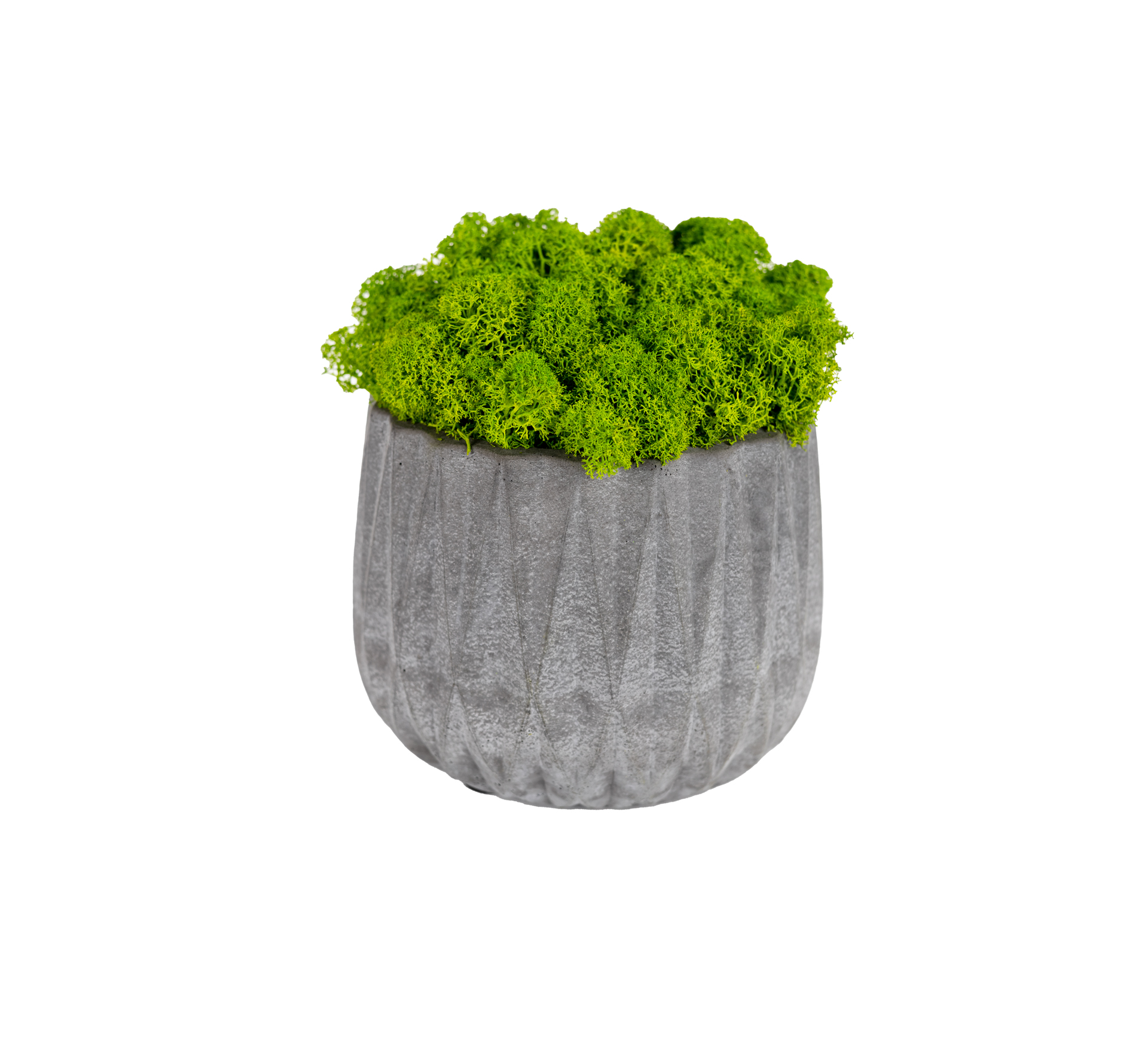 Mechový květináč GREY