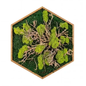 Mechový obraz – Kořeny zeleně (30 cm)