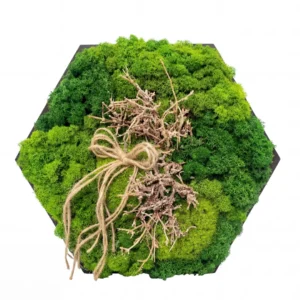 Mechový obraz – Uzel lesa (30 cm)