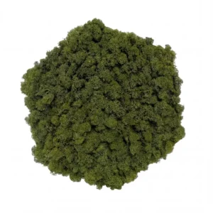 Mechový obraz – Lesní polštář (30 cm – Nature Green)