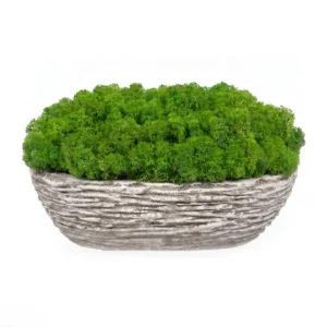 Oválný květináč s lišejníkem (25cm)