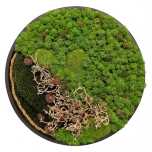 Velký mechový obraz – Lesní odysea (50 cm)