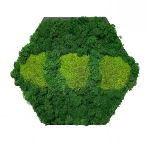 Mechový obraz – Zelený semafor (30 cm)