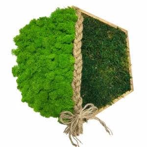 Mechovy obraz kombinace mechu Dva svety 30 cm sestiuhelnik