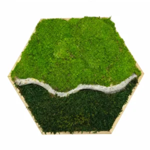 Mechovy obraz s vetvi Horizont 30 cm sestiuhelnik