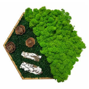 Mechovy obraz hexagon Velky jezek 30 cm v drevenem ramu